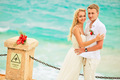 Happy wedding couple  - PhotoDune Item for Sale