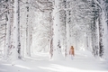 Woman walking at winters forest  - PhotoDune Item for Sale