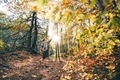  Woman walking in the autumn forest.  - PhotoDune Item for Sale