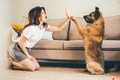 dog - PhotoDune Item for Sale