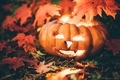 Halloween pumpkin. - PhotoDune Item for Sale
