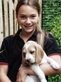A young girl holding her beagle puppy - PhotoDune Item for Sale