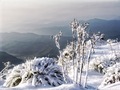 Winter in the Himalayas - PhotoDune Item for Sale