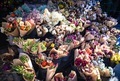 Bouquets of flowers at a market stall for sale - PhotoDune Item for Sale