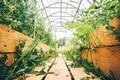 Greenhouse  - PhotoDune Item for Sale