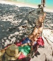Relaxing on a tropical island in a hammock - PhotoDune Item for Sale