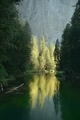 Reflections of trees in a river - PhotoDune Item for Sale