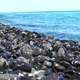 Sea Waves Roll On The Pebble Beach - VideoHive Item for Sale