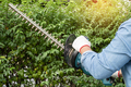 Gardener holding electric hedge trimmer to cut the treetop in garden. - PhotoDune Item for Sale