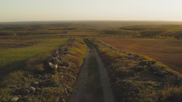 Vibrant green country road landscape sunset aerial