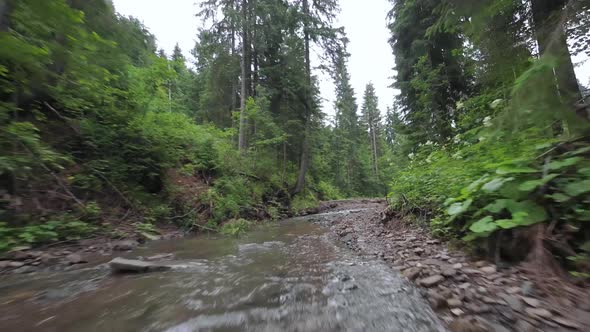 Smooth Rapid Flight Over a Mountain River Close to the Water Among a Dense Forest