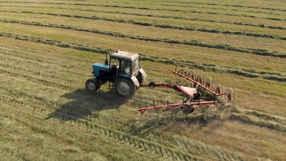 Aerial View of a Farmer on a Tractor Raking Dry Hay in the Field with a Rake-trowel