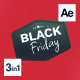 Black Friday Promo - VideoHive Item for Sale