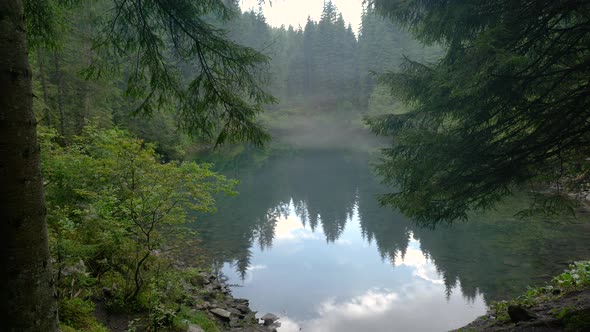 Beautiful Mountain Lake in the Forest