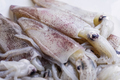 Fresh Squid, ingredient of delicious seafood for cooking.  - PhotoDune Item for Sale