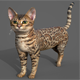 Cat Tabby - 3DOcean Item for Sale