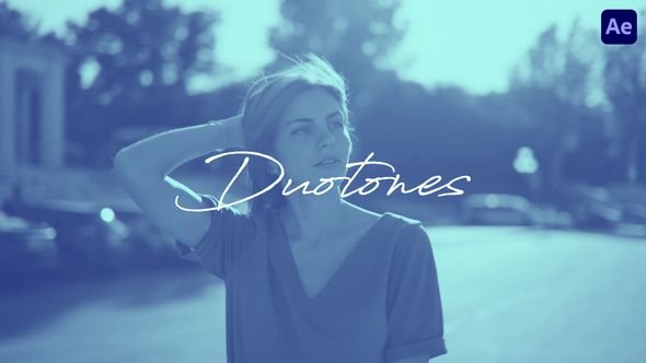 Duotone LUTs