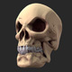 Skull Game Asset - 3DOcean Item for Sale