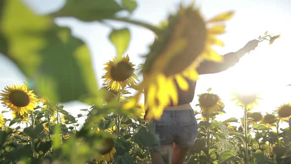 Sexy Young Woman Running Through Sunflower Field