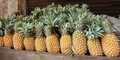 Ripe pineapple for sale at asian market - PhotoDune Item for Sale