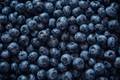 Fresh fruit of blueberry from top view - PhotoDune Item for Sale