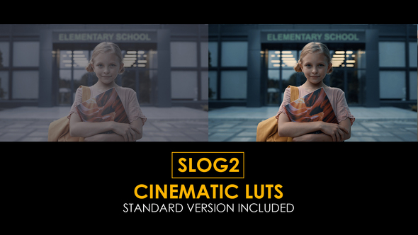 Slog2 Cinematic LUTs