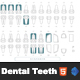 The Different Types of Dental Teeth Interactive Clickable - CodeCanyon Item for Sale