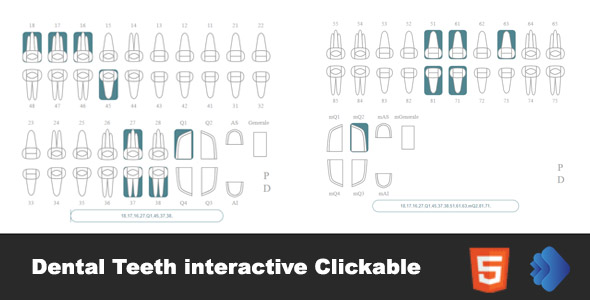 The Different Types Of Dental Teeth Interactive Clickable