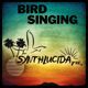 Bird Singing