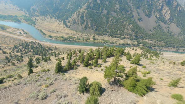 FPV drone flying down steep temperate pine tree mountain slope into river valley