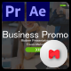 Business Promo - VideoHive Item for Sale