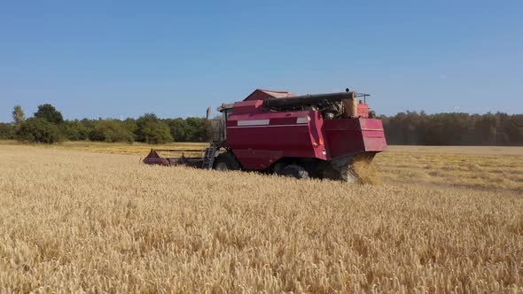 Picturesque Rural Landscape Harvester Harvests Wheat In The Field