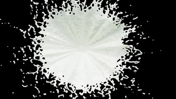 Milk Splash