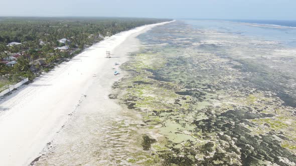 Low Tide in the Ocean Near the Coast of Zanzibar Island Tanzania