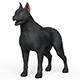 Black Dog - 3DOcean Item for Sale