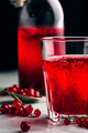 Glass of infused water with red currant - PhotoDune Item for Sale