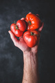 Hand holding fresh red tomatoes - PhotoDune Item for Sale