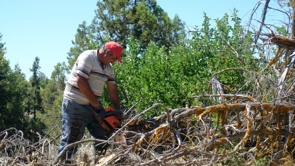 Chainsaw Cutting