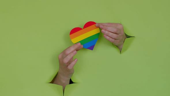 lgbt symbol in hand, on a green background