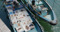 Sai Kung, Hong Kong 30 March 2021: Top down view of fishing boat selling seafood - PhotoDune Item for Sale