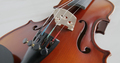 Violin string and bridge close up - PhotoDune Item for Sale