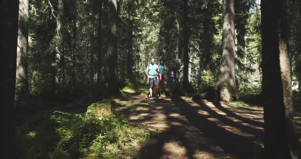Four People Walking on Sunny Forest Woods Trail Path