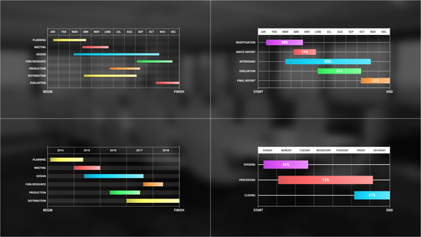 Gantt Chart Infographic | Premiere Pro