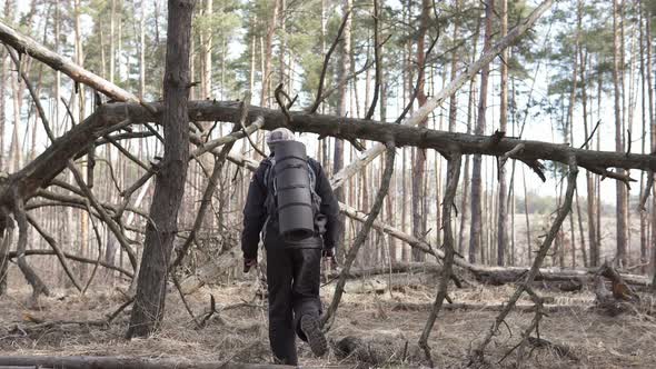 Tourist on a walk in the forest park. Orientation in the forest.