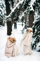 Handsome mother and daughter are having fun outdoor in winter time. Playing with snow in forest - PhotoDune Item for Sale