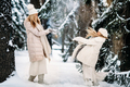 Handsome mother and daughter are having fun outdoor in winter time. Playing with snow in forest - PhotoDune Item for Sale