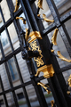 Golden wrought iron of a French mansion gate - PhotoDune Item for Sale