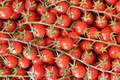 Cherry tomatoes - PhotoDune Item for Sale