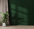 Empty green wall with sunlight in room with green plant in pol and curtain, 3d rendering - PhotoDune Item for Sale
