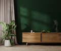 Modern room interior with green wall with sunlight, wooden dresser with decor, green plant in pot - PhotoDune Item for Sale
